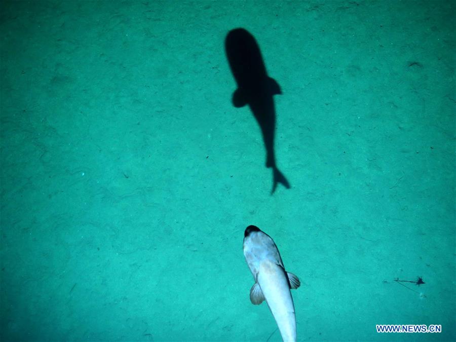 CHINA-UNMANNED SUBMERSIBLE-QIANLONG  (CN)
