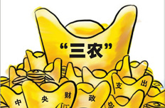 ũ֧ С