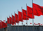 Ƴ缲