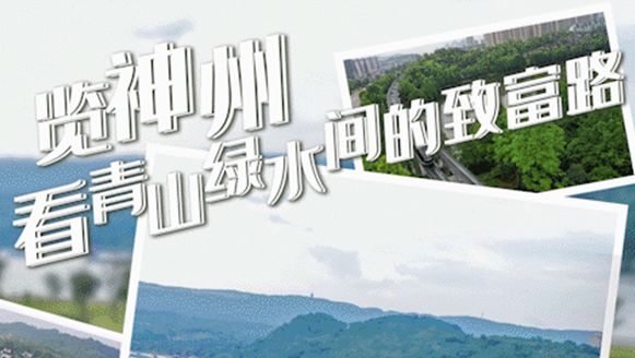 죺“” Զ