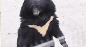 “˰” ɶ԰ģ