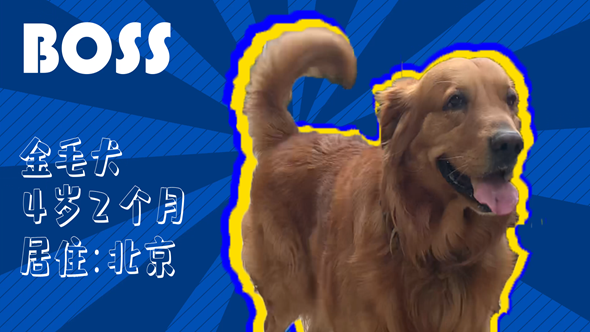 Ч˩&ѧ޹——Ȯ“ʺ”ǿ쿴