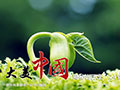 bbinӯͼӣй“24”