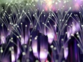bbinӯͼӡ