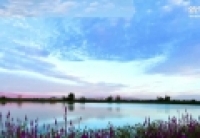 bbinӯͼӡԶĸʪ
