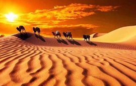 Ȼ ﷫Զ——"һһ·"